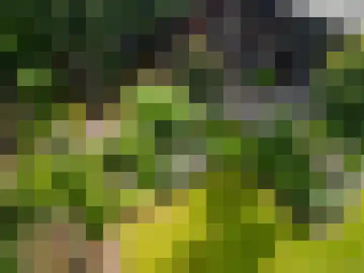 Wernhoutseweg 30 Zundert thumbnail 48