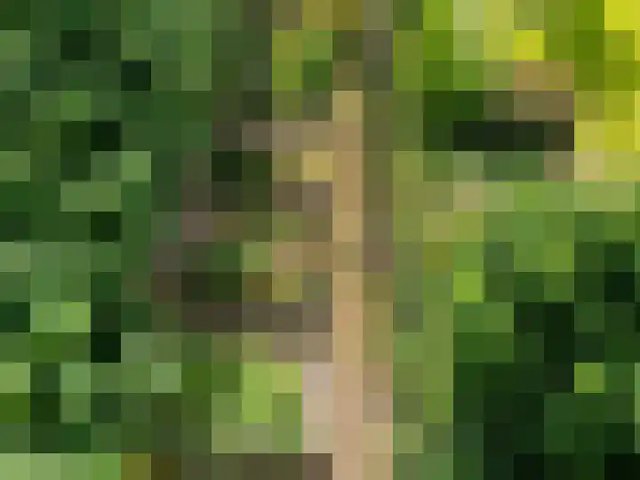 Wernhoutseweg 30 Zundert thumbnail 49