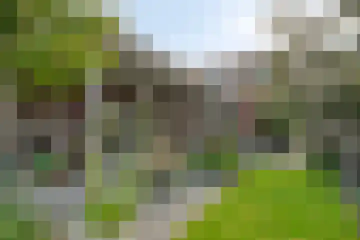 Wernhoutseweg 30 Zundert thumbnail 5