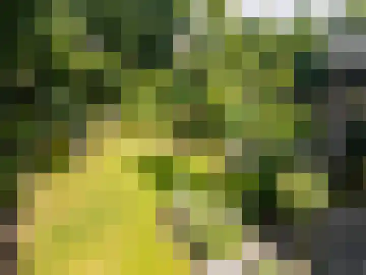 Wernhoutseweg 30 Zundert thumbnail 50