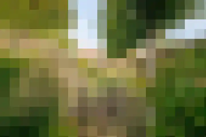 Wernhoutseweg 30 Zundert thumbnail 51