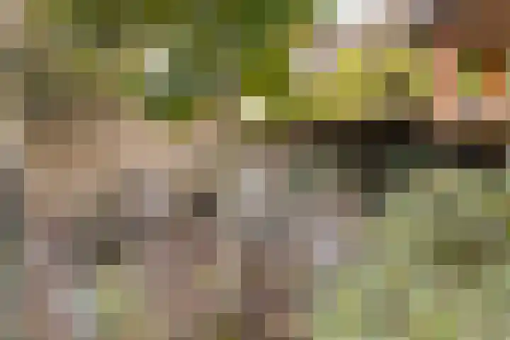 Wernhoutseweg 30 Zundert thumbnail 52