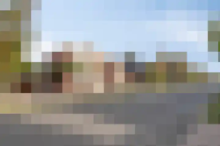 Wernhoutseweg 30 Zundert thumbnail 54