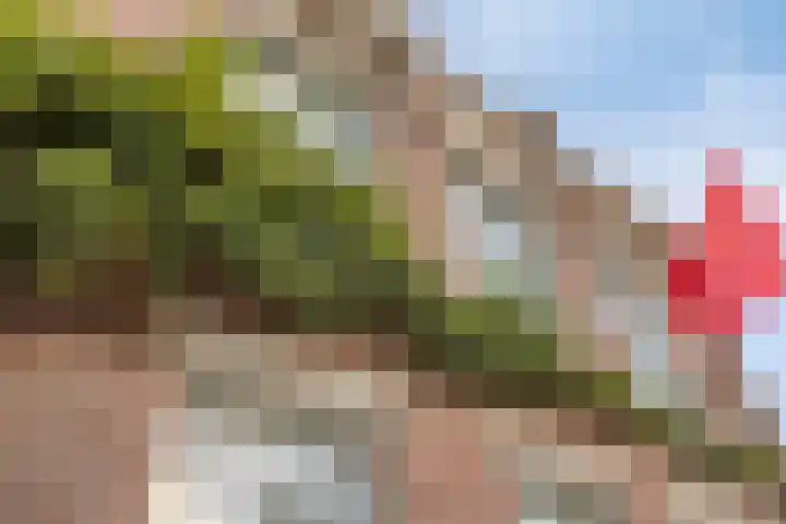 Wernhoutseweg 30 Zundert thumbnail 55