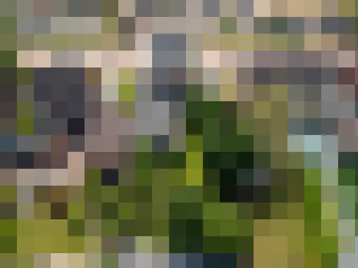 Wernhoutseweg 30 Zundert thumbnail 56