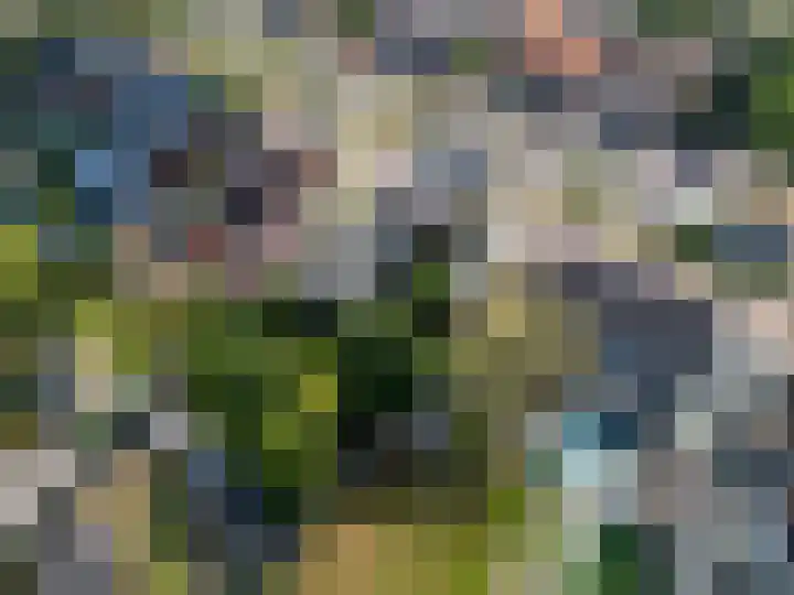 Wernhoutseweg 30 Zundert thumbnail 57