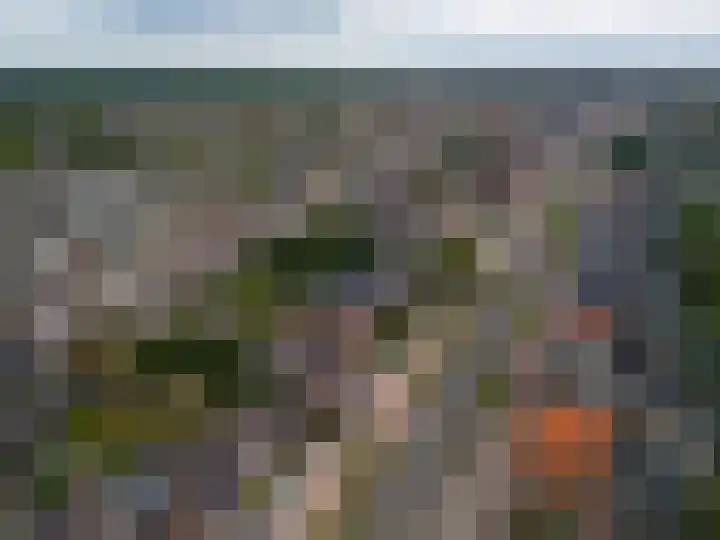 Wernhoutseweg 30 Zundert thumbnail 62