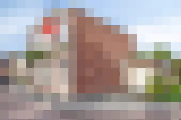 Wernhoutseweg 30 Zundert thumbnail 8