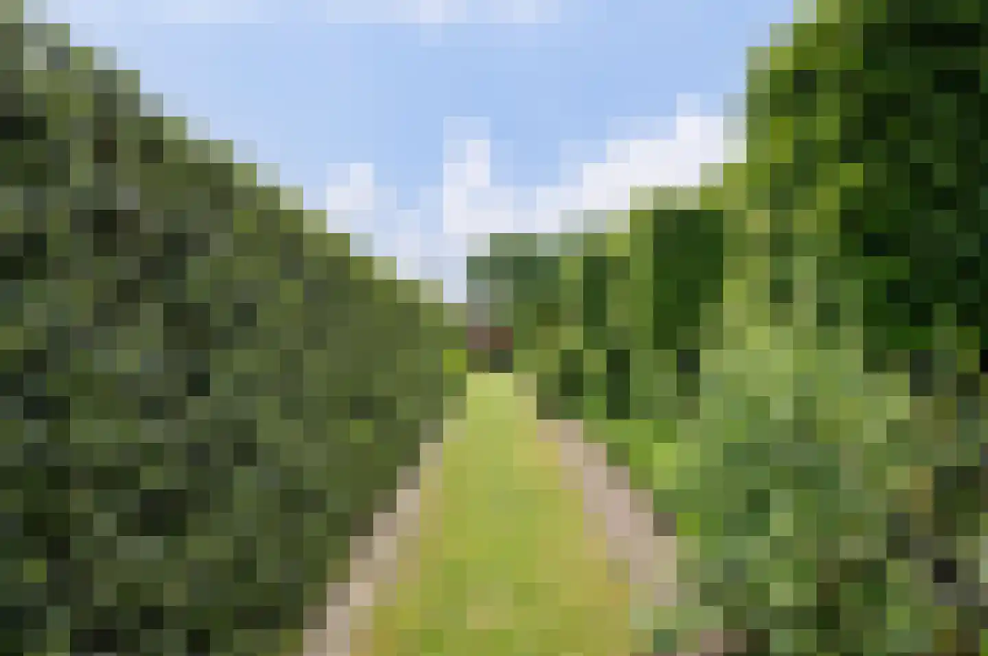 Wernhoutseweg 57 Wernhout thumbnail 13
