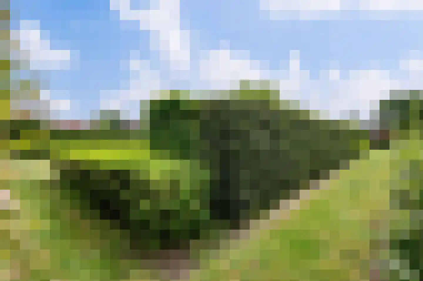 Wernhoutseweg 57 Wernhout thumbnail 14