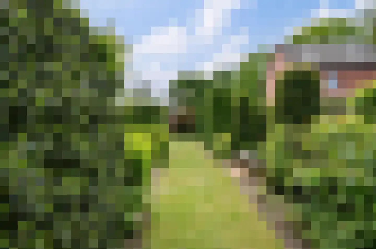 Wernhoutseweg 57 Wernhout thumbnail 16