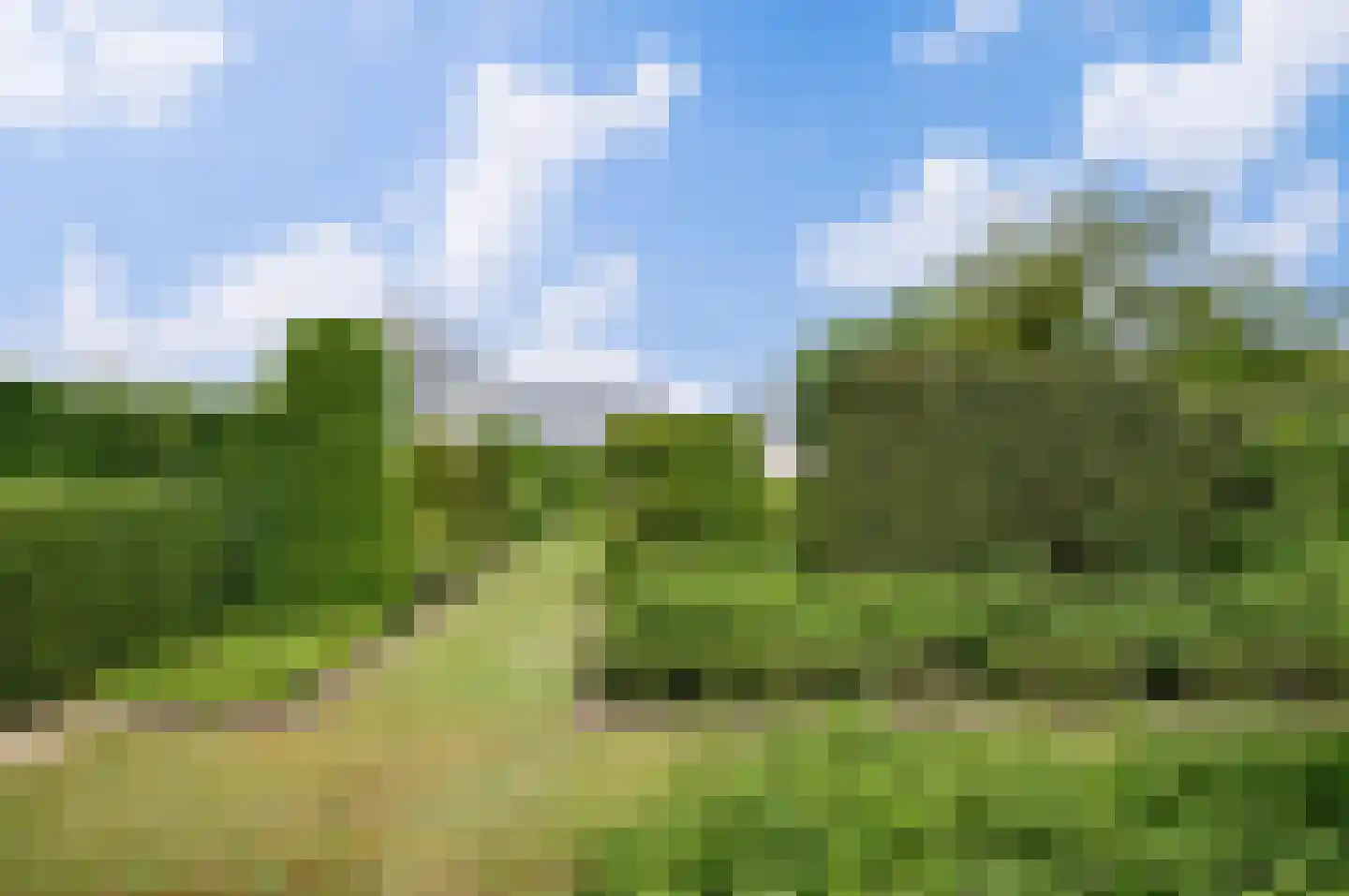 Wernhoutseweg 57 Wernhout thumbnail 8