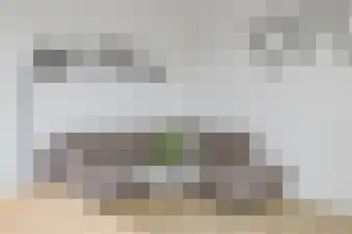 Wernhoutseweg 9 d 2 Zundert thumbnail 13