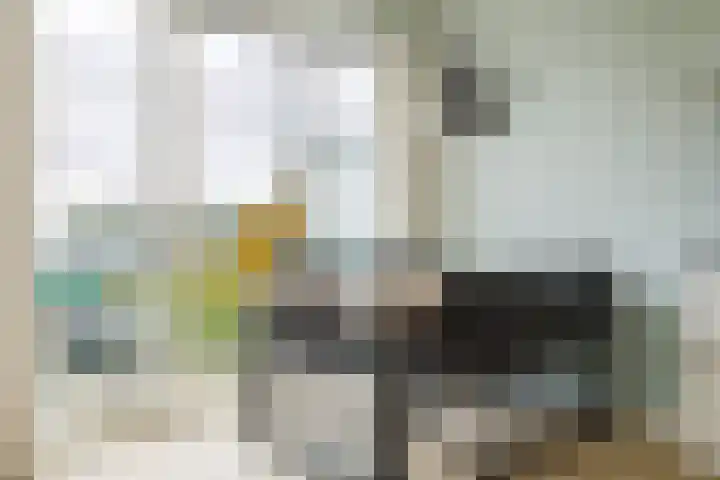 Wernhoutseweg 9 d 2 Zundert thumbnail 14