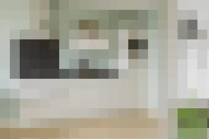Wernhoutseweg 9 d 2 Zundert thumbnail 17
