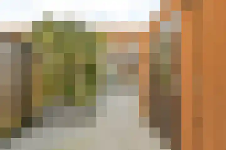 Werpanker 12 Almere thumbnail 10