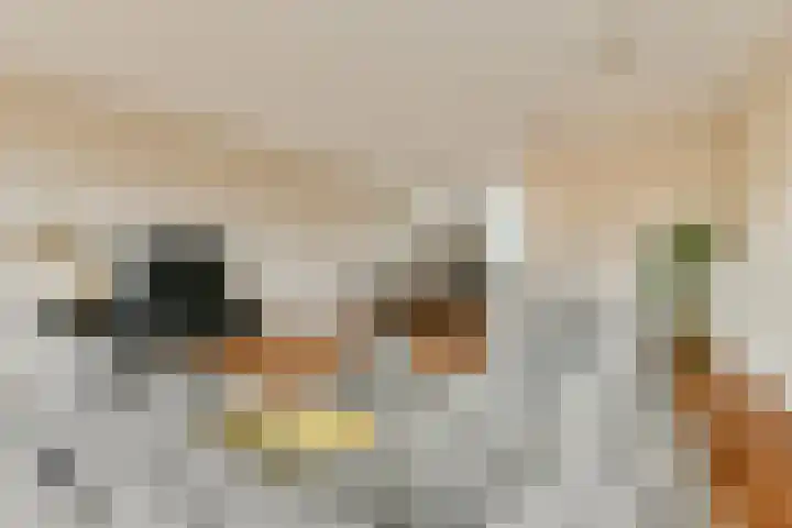 Werpanker 12 Almere thumbnail 15