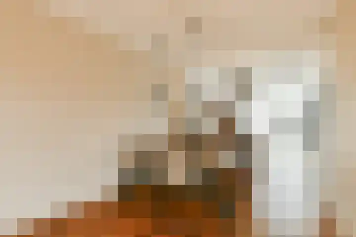 Werpanker 12 Almere thumbnail 16