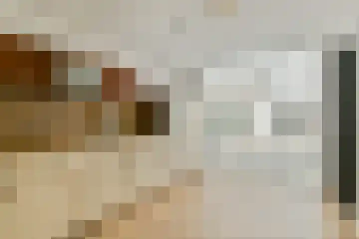 Werpanker 12 Almere thumbnail 17