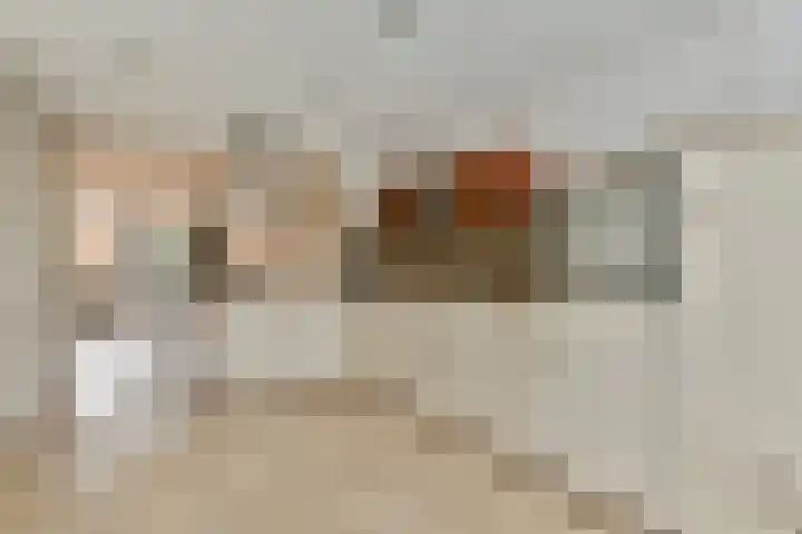 Werpanker 12 Almere thumbnail 18