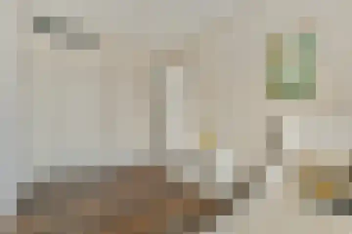 Werpanker 12 Almere thumbnail 27