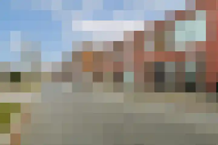Werpanker 12 Almere thumbnail 33