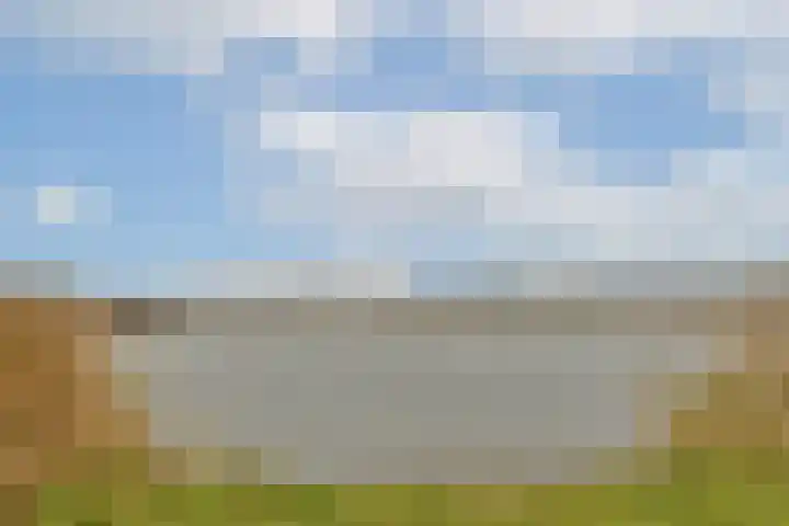 Werpanker 12 Almere thumbnail 35