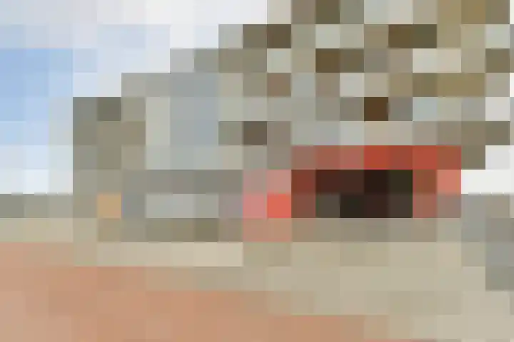 Werpanker 12 Almere thumbnail 37