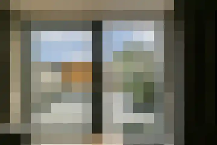 Werpanker 12 Almere thumbnail 5