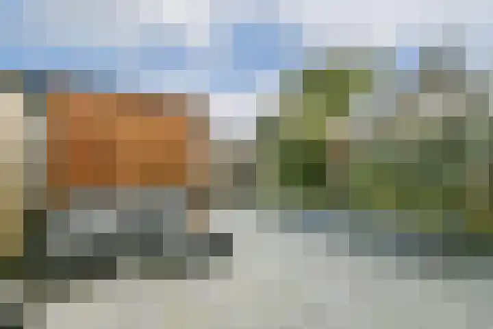Werpanker 12 Almere thumbnail 6