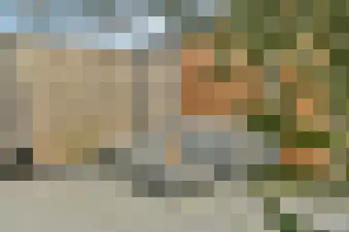Werpanker 12 Almere thumbnail 8