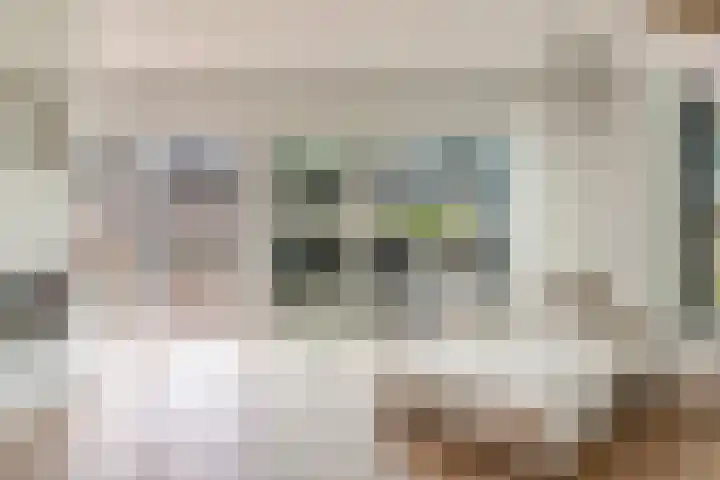 Werpanker 21 Almere thumbnail 15