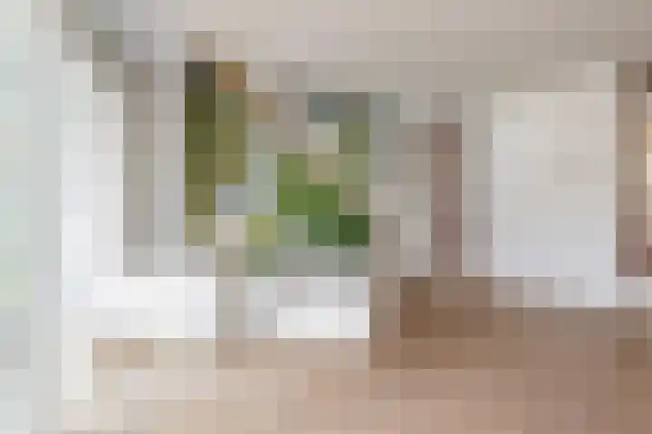 Werpanker 21 Almere thumbnail 18