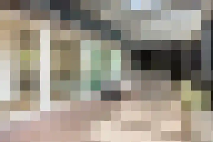 Werpanker 21 Almere thumbnail 26