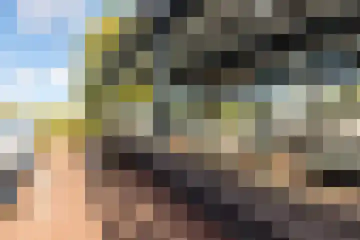Werpanker 21 Almere thumbnail 29