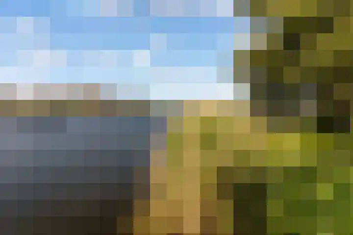 Werpanker 21 Almere thumbnail 32