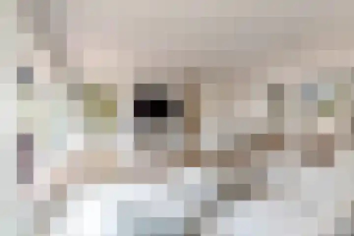Werpanker 21 Almere thumbnail 34