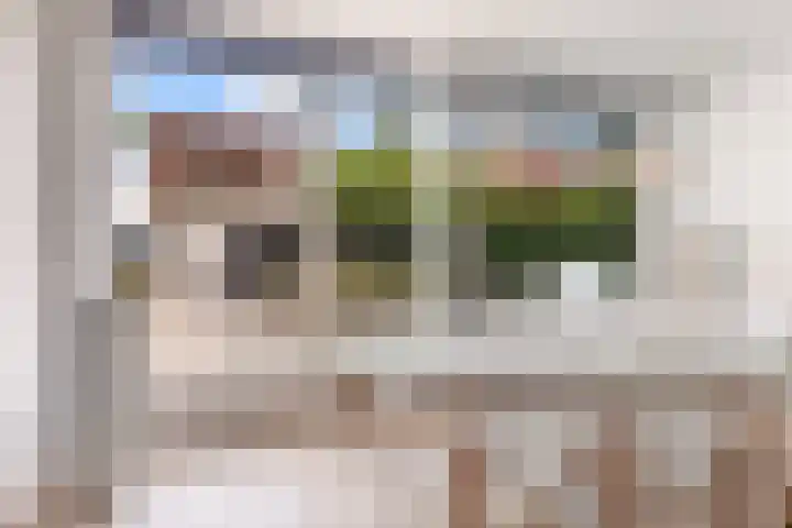 Werpanker 21 Almere thumbnail 37