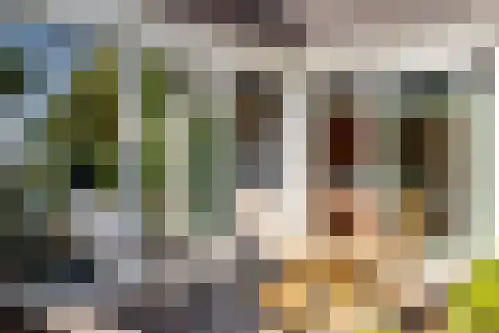 Werpanker 21 Almere thumbnail 38