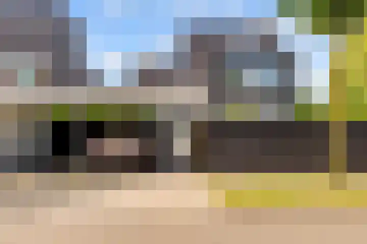 Werpanker 21 Almere thumbnail 4