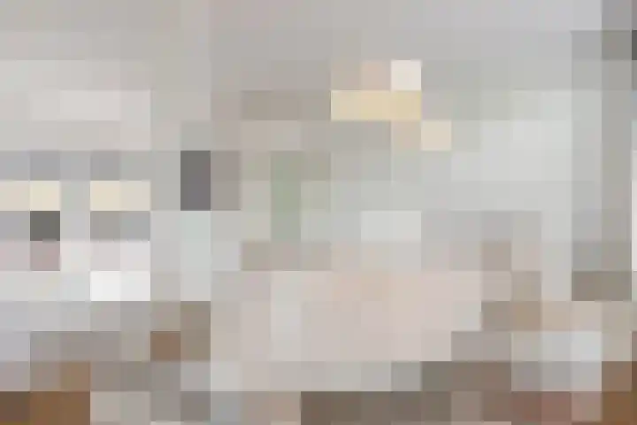 Werpanker 21 Almere thumbnail 41