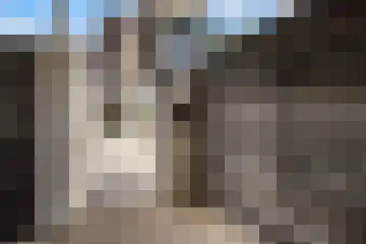 Werpanker 21 Almere thumbnail 5