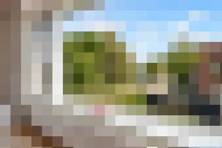 Werpanker 21 Almere thumbnail 57