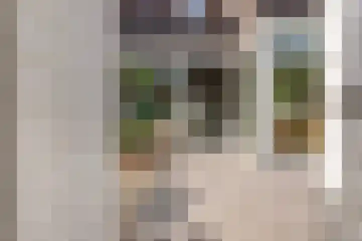 Werpanker 21 Almere thumbnail 6