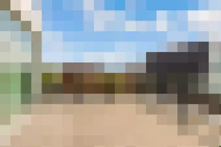 Werpanker 21 Almere thumbnail 69