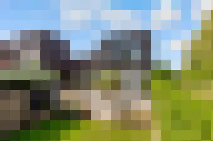 Werpanker 21 Almere thumbnail 7