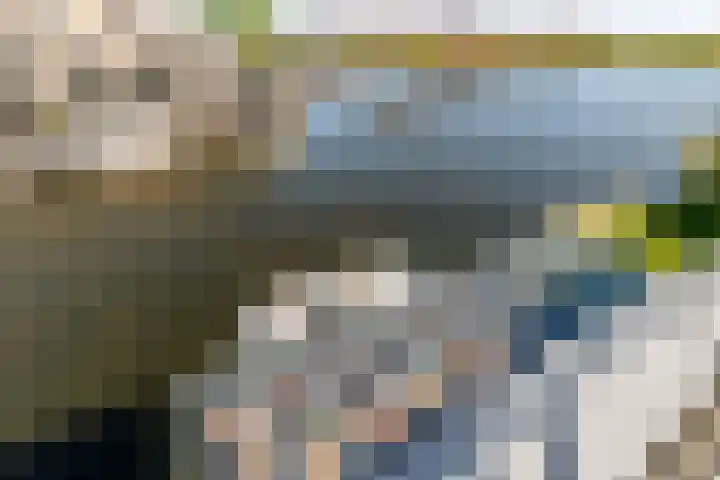 Werpanker 21 Almere thumbnail 70
