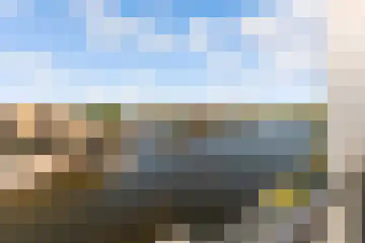 Werpanker 21 Almere thumbnail 71
