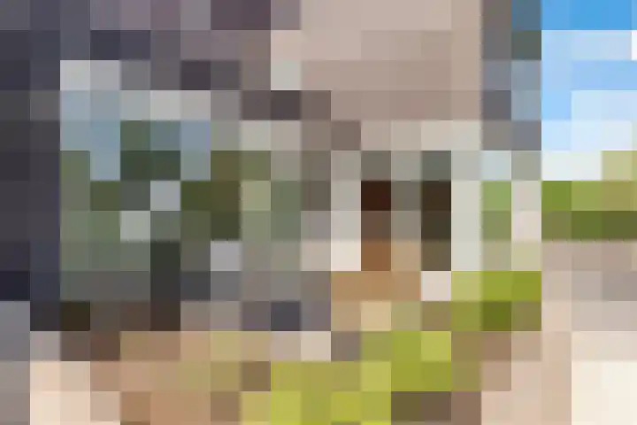 Werpanker 21 Almere thumbnail 77