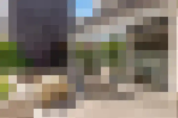 Werpanker 21 Almere thumbnail 78